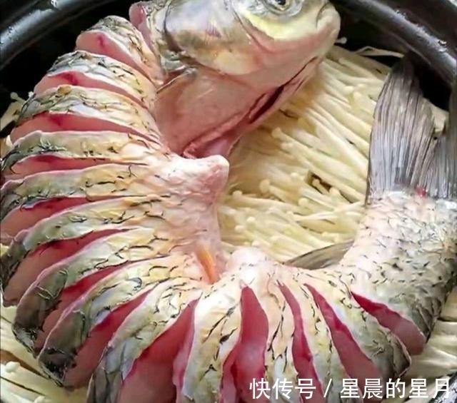 黄焖鸡米饭|草鱼的懒人做法，用一条鱼、一碗豆腐、一束金针菇碰撞出的火花！