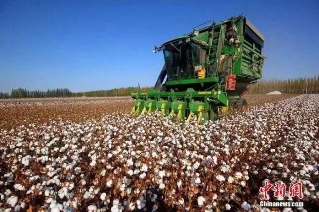 H&M,耐克们，对新疆棉花一无所知