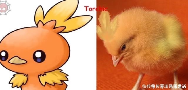 火系|“真实版”的神奇宝贝,看到裂空座,我发出了杀猪般的笑声