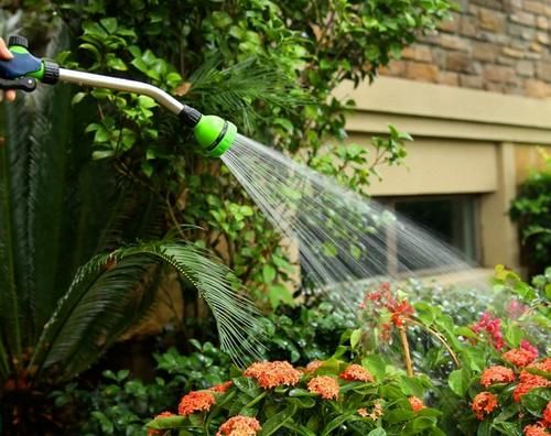 5种常见“养花水”，好使、不花钱，浇什么花都能用