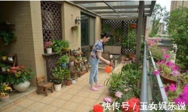 空气|3种“细菌”最讨厌的植物,家里种几盆,家人少生病,身体更健康