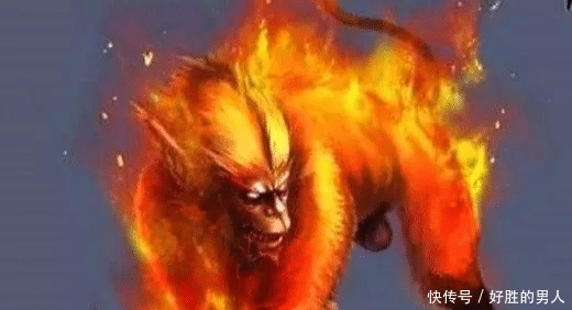 神兽! 一只至少活了93年, 一只被张无忌吃了