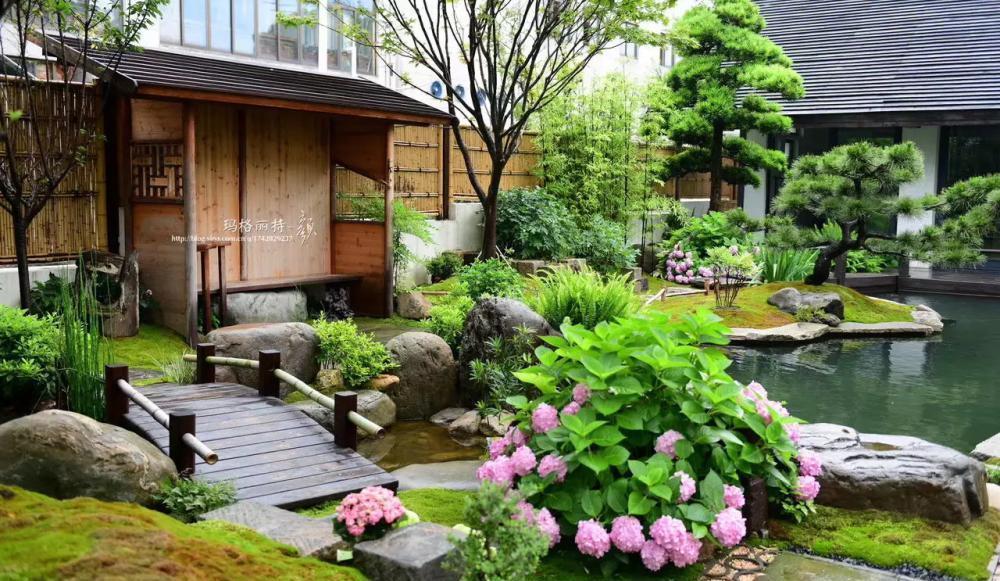 颜值担当|想要打造“高级”花园,春天种上“4种花”,颜值高,爱开花