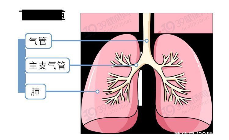 咳嗽|咳出来的痰究竟有多脏？咽回去对身体有害吗？带你一探究竟