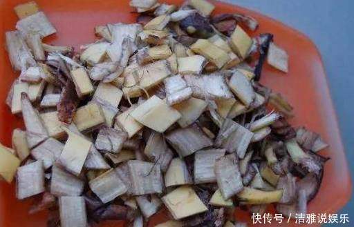 花卉|这3种“垃圾”别扔，丢在花盆里，花卉跟“打鸡血”一样蹭蹭长