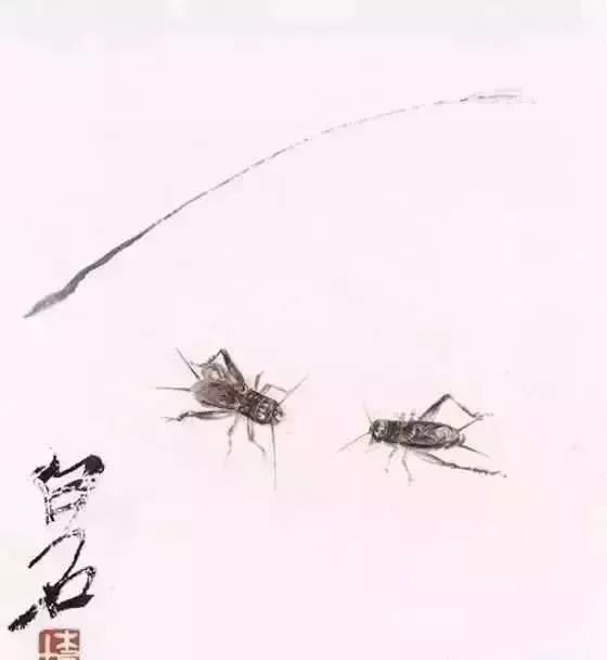 蝗虫$齐白石问娄师白:你数过螳螂翅上的细筋有多少根吗?