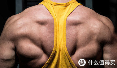 训练者|自然状态下能增长多少肌肉?肌肉增长的速度有多快?