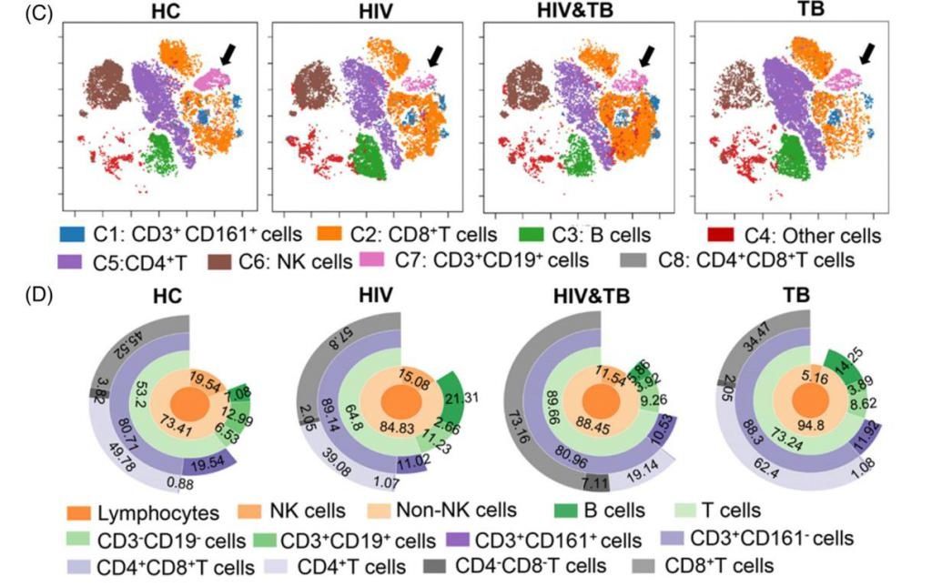 深圳三院卢洪洲教授团队揭示艾滋合并结核患者中CD3+CD19+淋巴细胞新亚群及功能|深晚报道 | 淋巴细胞