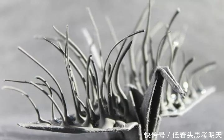 重样|每天折一只千纸鹤,他坚持了1000天不重样,女友被感动到梨花带雨