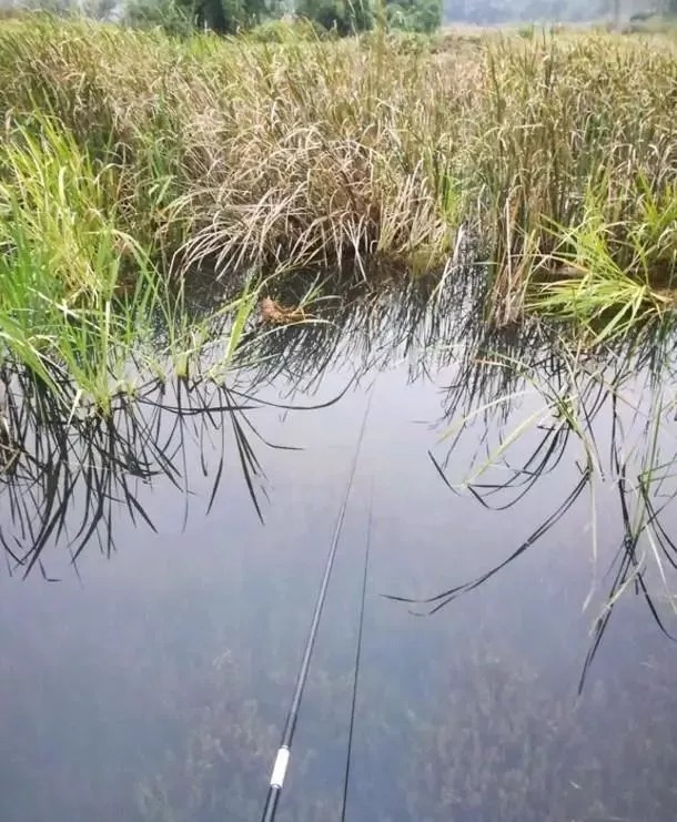 被钓“烂”的钓点该怎样钓?用这4招,钓友都羡慕的不行!