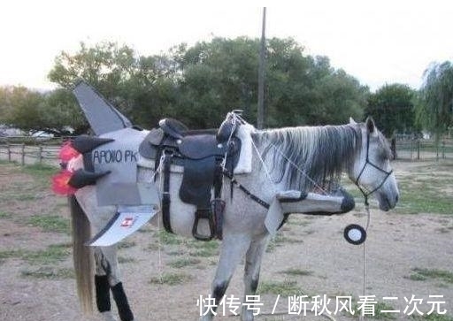 |幽默笑话:吃饭的时候,老婆问我……