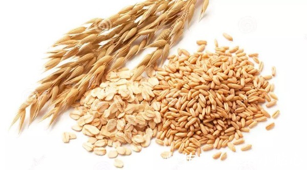 燕麦|平时习惯减肥的人，都知道多吃这几种“排油食物”怎么吃怎么瘦