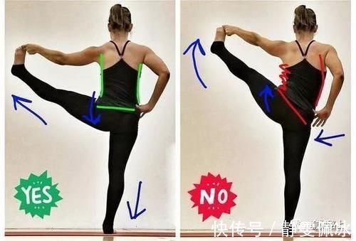 胸腔|为什么瑜伽练习不能照葫芦画瓢？看过这些图你就懂了…
