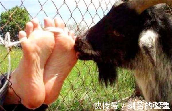 思想@古代“温柔”的酷刑,没有犯人能够承受,让人在快乐中痛苦地惨死