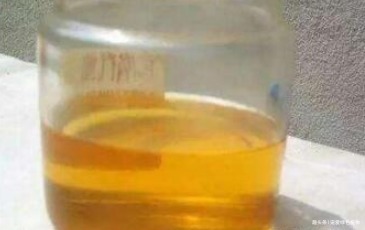 养长寿花,盆里滴5滴“它”,1年不施肥,也能开“爆盆”!