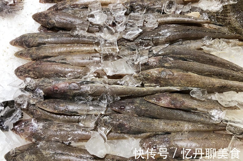 想吃|想吃鱼,就买此6种,目前无法人工养殖,都是野生鱼,放心吃吧