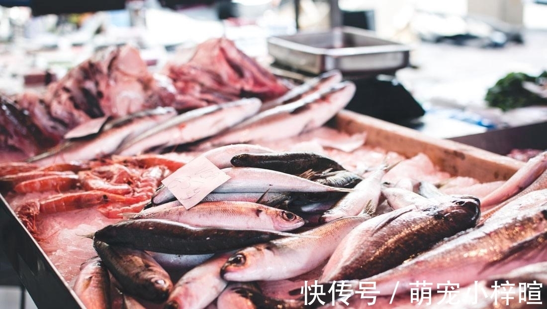 去市场买鱼,这5种鱼放心买,纯野生的,人工没法养,便宜还美味