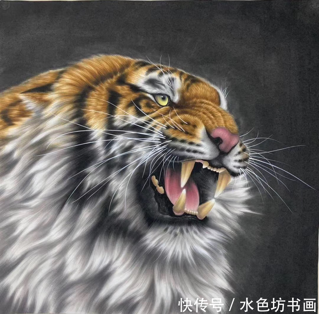 画家专栏 │王建辉——虎卧中堂万事吉祥