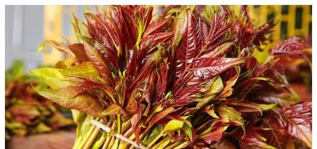 咸菜|内科医生提醒:4种蔬菜被加入“升糖名单”,血糖高的人,要少吃