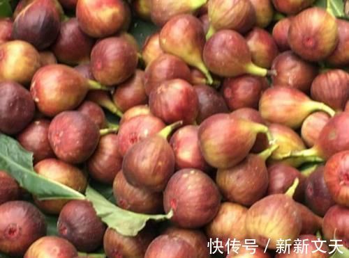 妇科病|4物是天然的“黄体酮”,女性常吃消炎抑菌,可助你远离妇科病