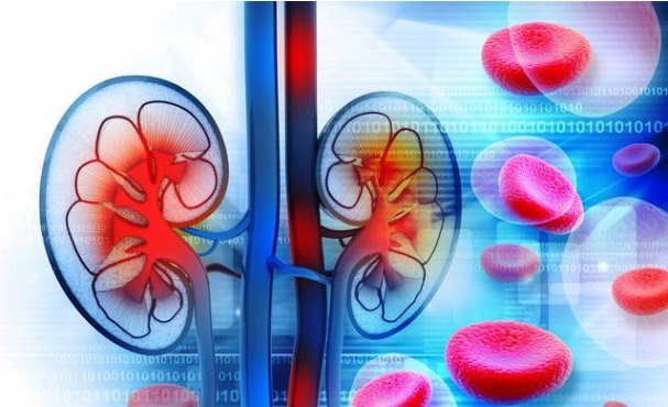 微量尿蛋白|提醒:糖尿病不想发展成尿毒症,控制好3个指标很重要