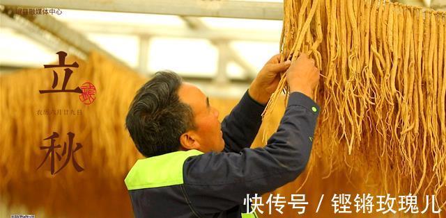 秋风|又是一年秋风渡，去看岷县的万象金黄