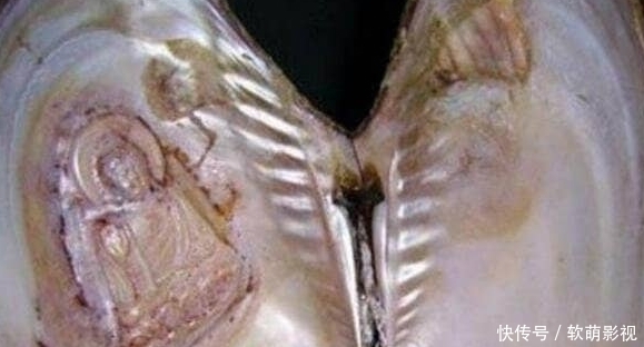 哗然 仙女湖突现 神物 河蚌内长出观音菩萨像 众人朝拜 快资讯 哗然 仙女湖突现 神物 河蚌内长出观音菩萨像 众人朝拜 快资讯