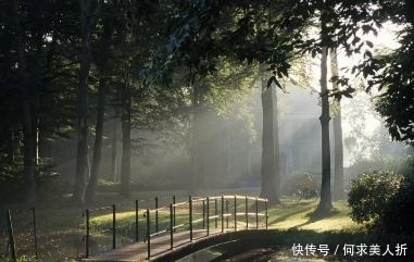 高瞻|两首传世久远的七绝,高瞻与韦庄的对比,却都很精彩!