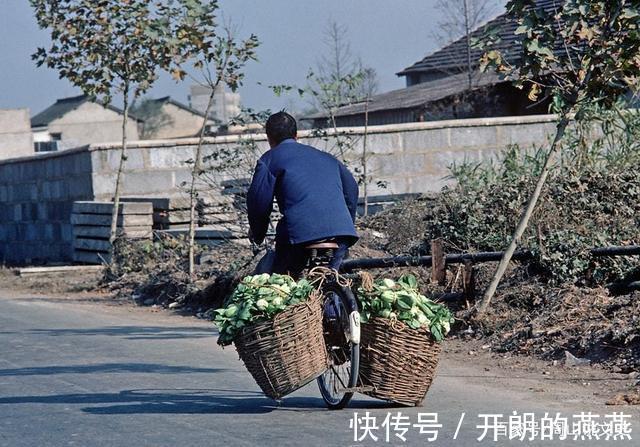 老照片|一组70年代老照片，大部分都没有见过