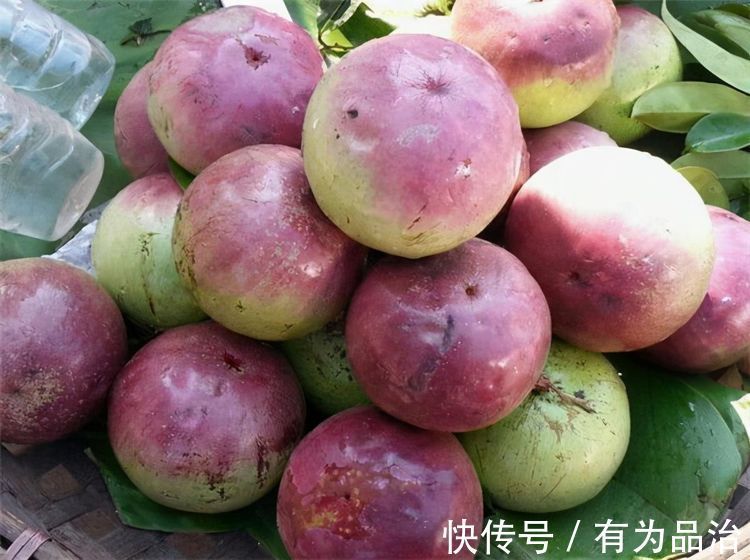 养生|聪明女性要坚持吃3种食物,美容养生、滋润肌肤,好处多多!