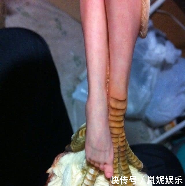 岛国|岛国手办真不含糊,逼真到血管都看清楚,看到这脚丫:彻底服了