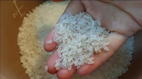 好吃|大饭店的米饭为什么蒸的那么好吃?小窍门偷偷告诉你