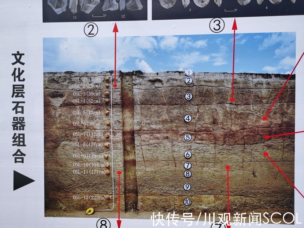 遗址！中国旧石器考古专业委员会主任高星：皮洛遗址的发现具有重大世界性重大学术意义