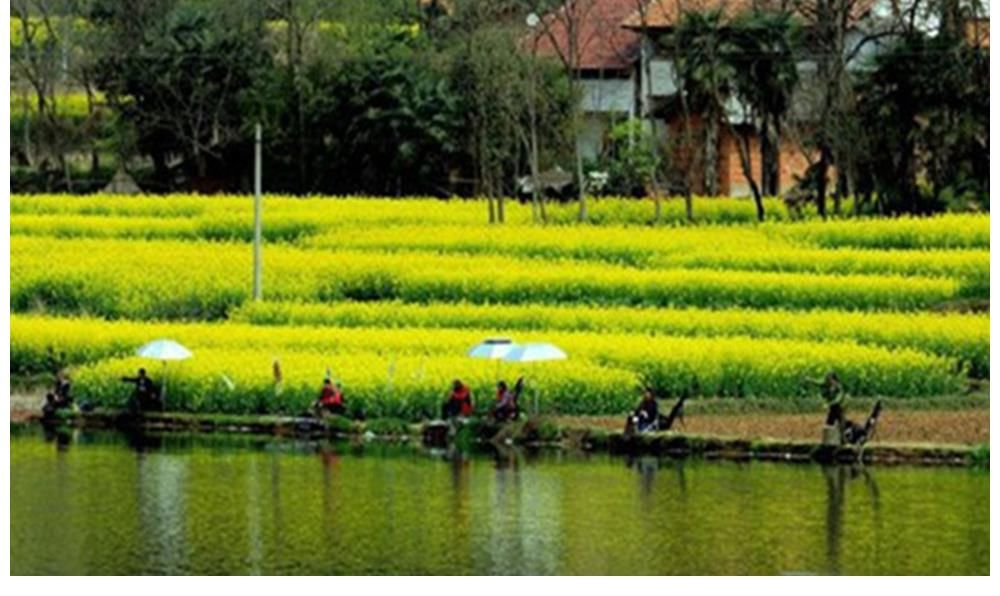 春钓鲫鱼如同“赶场”,记住3个变化规律,什么水面都能爆护!