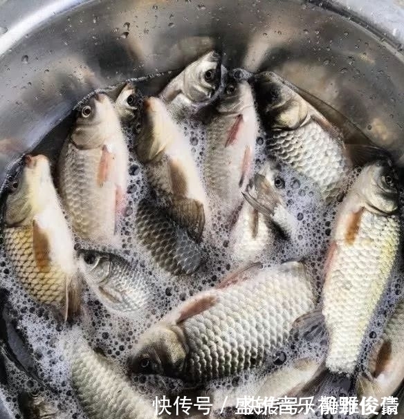 钓鲫鱼不能补窝?一补窝就停口?你用错了方法!