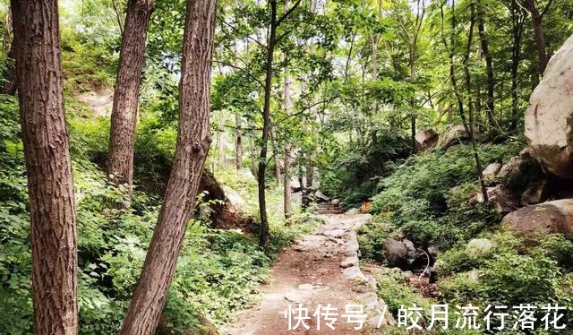 鸽子洞|北京大岭沟猕猴桃谷风景区，幽静空谷听鸟鸣，到山顶看草木葱茏！