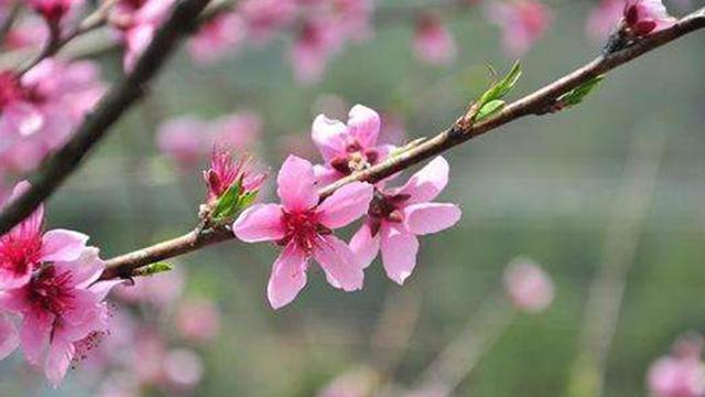 六六大吉|农历生日尾数是几的孩子,多财多福,长大后定有一番作为