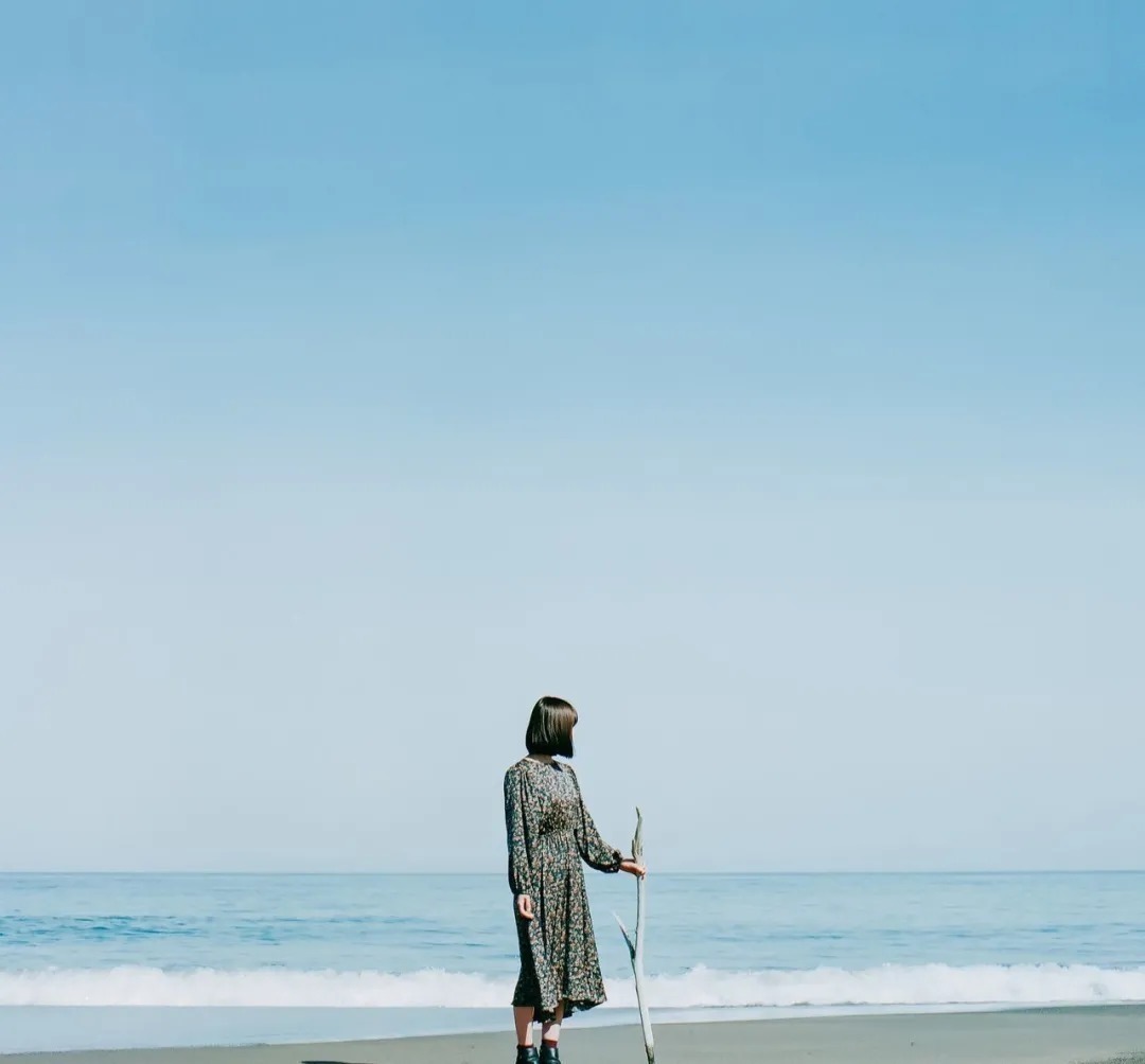 王安石$成年人最难的自律:话不言尽,虑不过多,欲不过纵