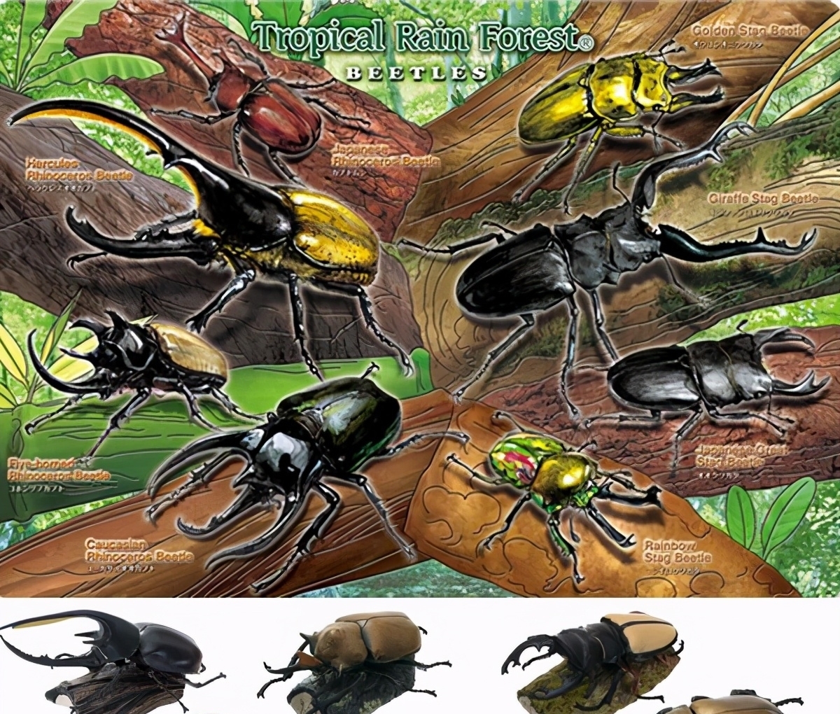 日本漫画|日本的可怕昆虫你见识过么?动漫创意来源!