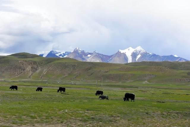 西藏自驾游从珠峰到冈仁波齐的信仰之路！人迹罕至的绝美之景
