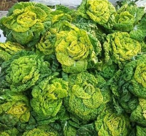 钙质|常给孩子吃此物,再贵也别省,补充钙质,长高个,肌肤更细滑水嫩