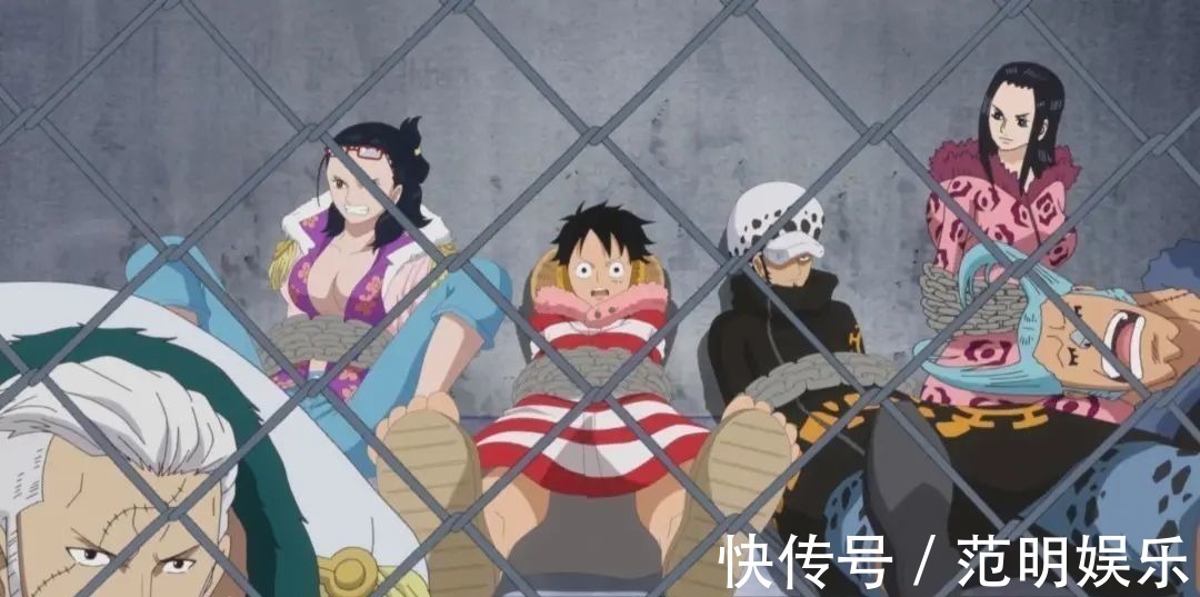 免疫|海贼王,路飞已经获得5种“王”字称号,坐牢王实至名归