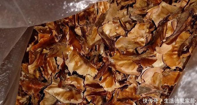 花盆|花盆里加点这个，不烂根不黄叶，轻松养满盆