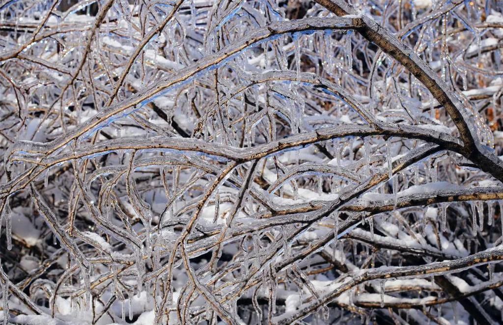 心间|净月潭的雪，美在山川，暖在心间！