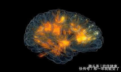 身体|会吃的人更长寿这5种食物常放餐桌,滋养身体百岁不是梦