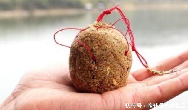 伏天|伏天一热，我就只想用这鲤鱼饵，十用九灵，试过的人都拍案叫绝