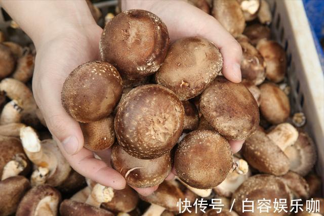 香菇|香菇只用清水洗,是洗不干净的,教你个好方法,洗得干净无虫卵