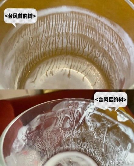 小女孩$可可爱爱！小女孩的日记本太治愈了