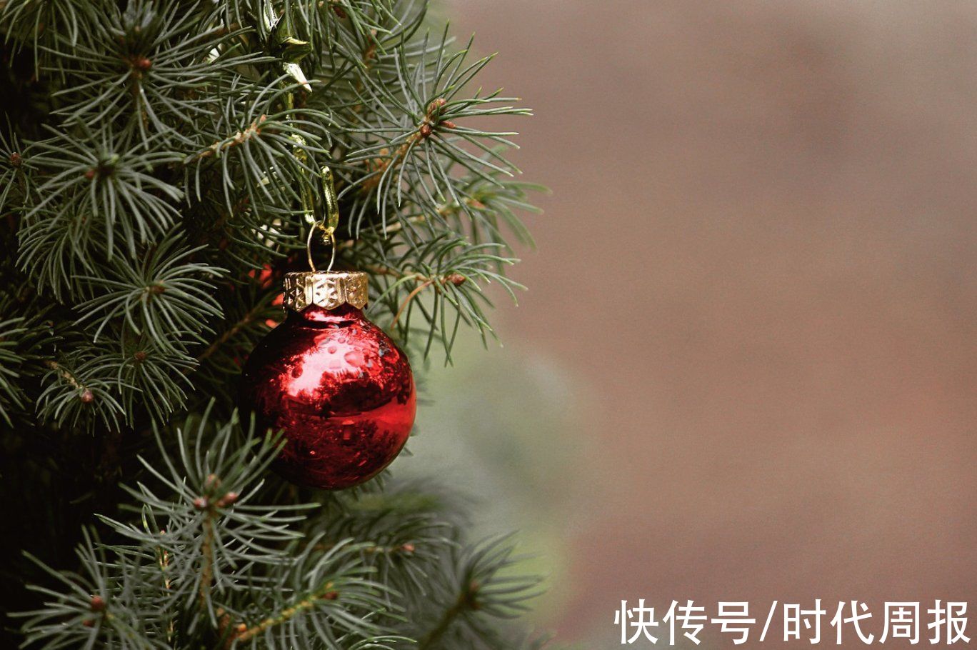 圣诞季|义乌商家遭遇全球海运大拥堵：圣诞节到了，美国人还是等不到中国产的那棵树