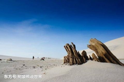 沙丘|世界上最“失败”的沙漠，鱼蟹成群，碧绿水湾，你知道在哪吗